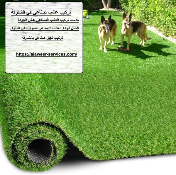 تركيب عشب صناعي في الشارقة
